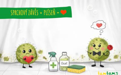 Plíseň v koupelně není osudová láska, kterou musíte přijmout. Stačí trochu větrání, občasné zapnutí pračky a minimum snahy – a koupelnový závěs zůstane jen závěsem, ne tragickým příběhem.